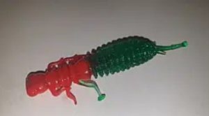 Силікон Німфа 2,8" сьедобный "Gold fish" color 1/15